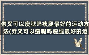 劈叉可以瘦腿吗瘦腿最好的运动方法(劈叉可以瘦腿吗瘦腿最好的运动)