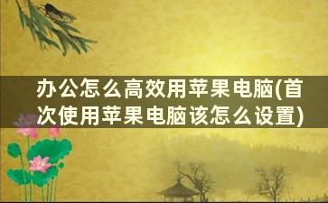 办公怎么高效用苹果电脑(首次使用苹果电脑该怎么设置)