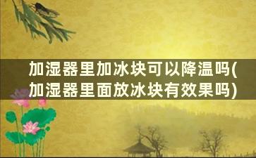 加湿器里加冰块可以降温吗(加湿器里面放冰块有效果吗)