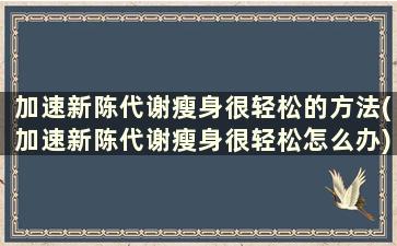 加速新陈代谢瘦身很轻松的方法(加速新陈代谢瘦身很轻松怎么办)