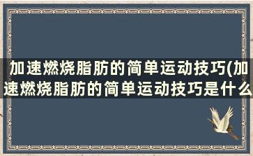 加速燃烧脂肪的简单运动技巧(加速燃烧脂肪的简单运动技巧是什么)