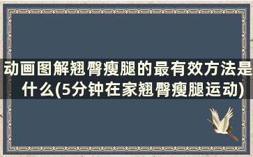 动画图解翘臀瘦腿的最有效方法是什么(5分钟在家翘臀瘦腿运动)