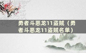 勇者斗恶龙11盗贼（勇者斗恶龙11盗贼名单）