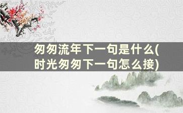 匆匆流年下一句是什么(时光匆匆下一句怎么接)