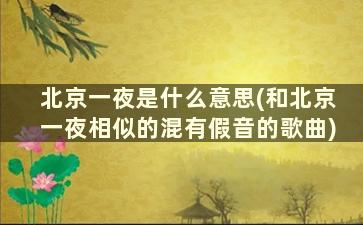 北京一夜是什么意思(和北京一夜相似的混有假音的歌曲)