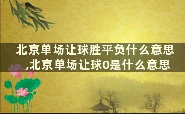 北京单场让球胜平负什么意思,北京单场让球0是什么意思