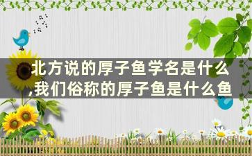 北方说的厚子鱼学名是什么,我们俗称的厚子鱼是什么鱼