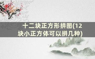 十二块正方形拼图(12块小正方体可以拼几种)