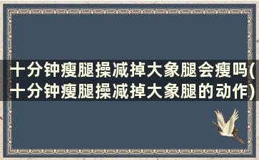 十分钟瘦腿操减掉大象腿会瘦吗(十分钟瘦腿操减掉大象腿的动作)