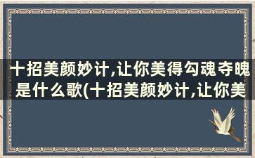 十招美颜妙计,让你美得勾魂夺魄是什么歌(十招美颜妙计,让你美得勾魂夺魄的意思)