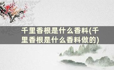 千里香根是什么香料(千里香根是什么香料做的)