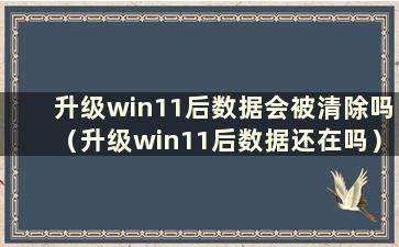 升级win11后数据会被清除吗（升级win11后数据还在吗）？