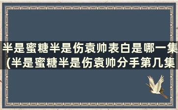 半是蜜糖半是伤袁帅表白是哪一集(半是蜜糖半是伤袁帅分手第几集)