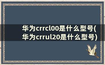 华为crrcl00是什么型号(华为crrul20是什么型号)