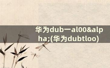 华为dub一al00α(华为dubtloo)