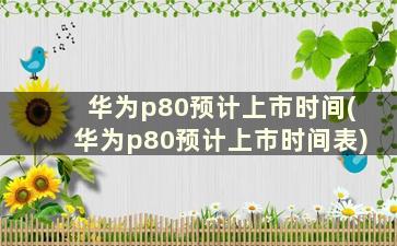 华为p80预计上市时间(华为p80预计上市时间表)