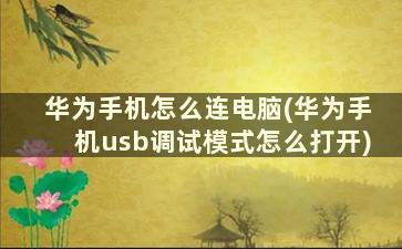 华为手机怎么连电脑(华为手机usb调试模式怎么打开)