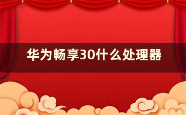 华为畅享30什么处理器