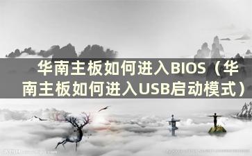 华南主板如何进入BIOS（华南主板如何进入USB启动模式）