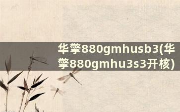 华擎880gmhusb3(华擎880gmhu3s3开核)