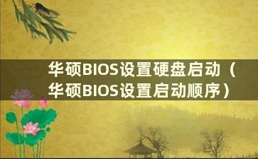 华硕BIOS设置硬盘启动（华硕BIOS设置启动顺序）