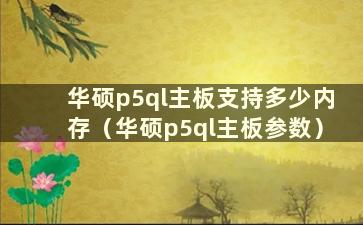 华硕p5ql主板支持多少内存（华硕p5ql主板参数）