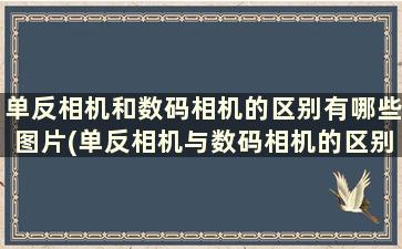 单反相机和数码相机的区别有哪些图片(单反相机与数码相机的区别)