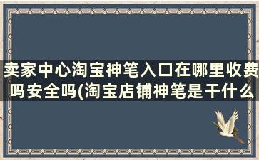 卖家中心淘宝神笔入口在哪里收费吗安全吗(淘宝店铺神笔是干什么用的)