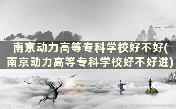 南京动力高等专科学校好不好(南京动力高等专科学校好不好进)