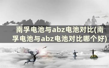 南孚电池与abz电池对比(南孚电池与abz电池对比哪个好)