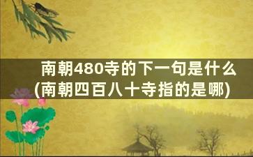 南朝480寺的下一句是什么(南朝四百八十寺指的是哪)