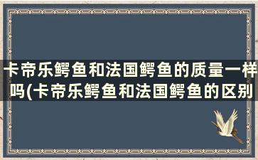 卡帝乐鳄鱼和法国鳄鱼的质量一样吗(卡帝乐鳄鱼和法国鳄鱼的区别)