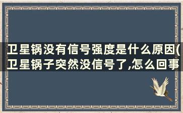 卫星锅没有信号强度是什么原因(卫星锅子突然没信号了,怎么回事)