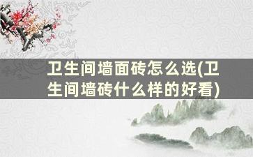 卫生间墙面砖怎么选(卫生间墙砖什么样的好看)