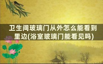 卫生间玻璃门从外怎么能看到里边(浴室玻璃门能看见吗)