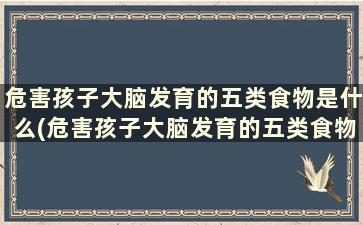 危害孩子大脑发育的五类食物是什么(危害孩子大脑发育的五类食物是)