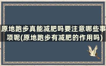 原地跑步真能减肥吗要注意哪些事项呢(原地跑步有减肥的作用吗)