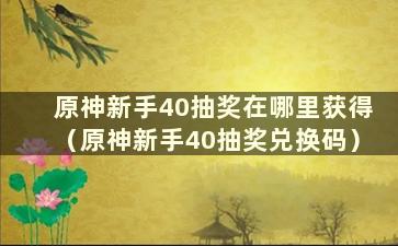 原神新手40抽奖在哪里获得（原神新手40抽奖兑换码）