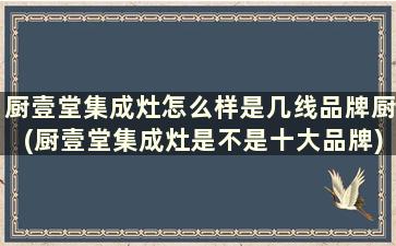 厨壹堂集成灶怎么样是几线品牌厨(厨壹堂集成灶是不是十大品牌)