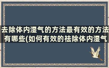 去除体内湿气的方法最有效的方法有哪些(如何有效的祛除体内湿气)