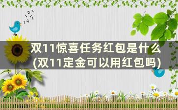 双11惊喜任务红包是什么(双11定金可以用红包吗)