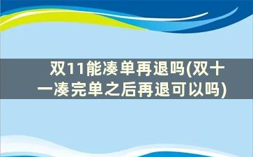 双11能凑单再退吗(双十一凑完单之后再退可以吗)