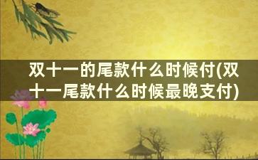 双十一的尾款什么时候付(双十一尾款什么时候最晚支付)