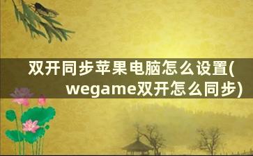 双开同步苹果电脑怎么设置(wegame双开怎么同步)