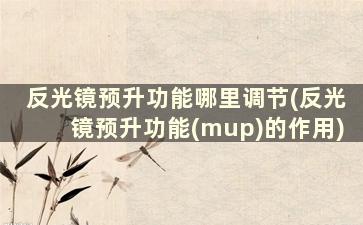 反光镜预升功能哪里调节(反光镜预升功能(mup)的作用)