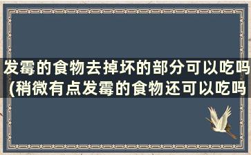 发霉的食物去掉坏的部分可以吃吗(稍微有点发霉的食物还可以吃吗)