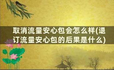 取消流量安心包会怎么样(退订流量安心包的后果是什么)