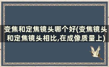 变焦和定焦镜头哪个好(变焦镜头和定焦镜头相比,在成像质量上)