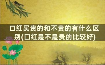 口红买贵的和不贵的有什么区别(口红是不是贵的比较好)