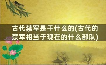 古代禁军是干什么的(古代的禁军相当于现在的什么部队)